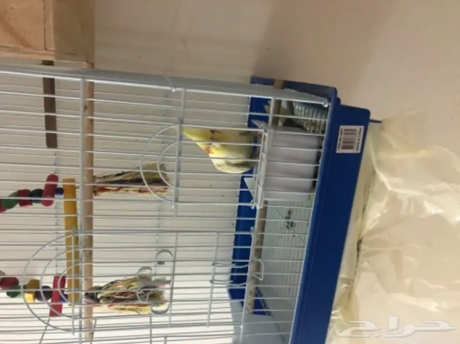 كروان للبيع