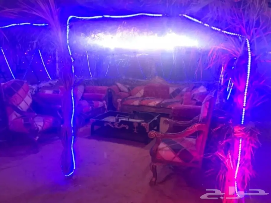 مخيم في الثمامه قبل التفتيش  (image 3)