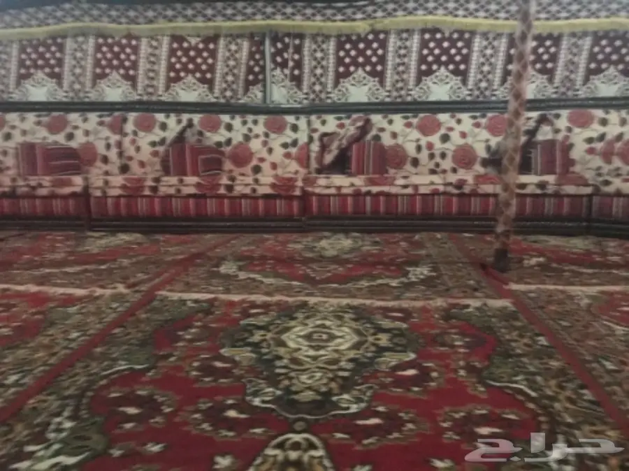 مخيم في الثمامه قبل التفتيش  (image 5)