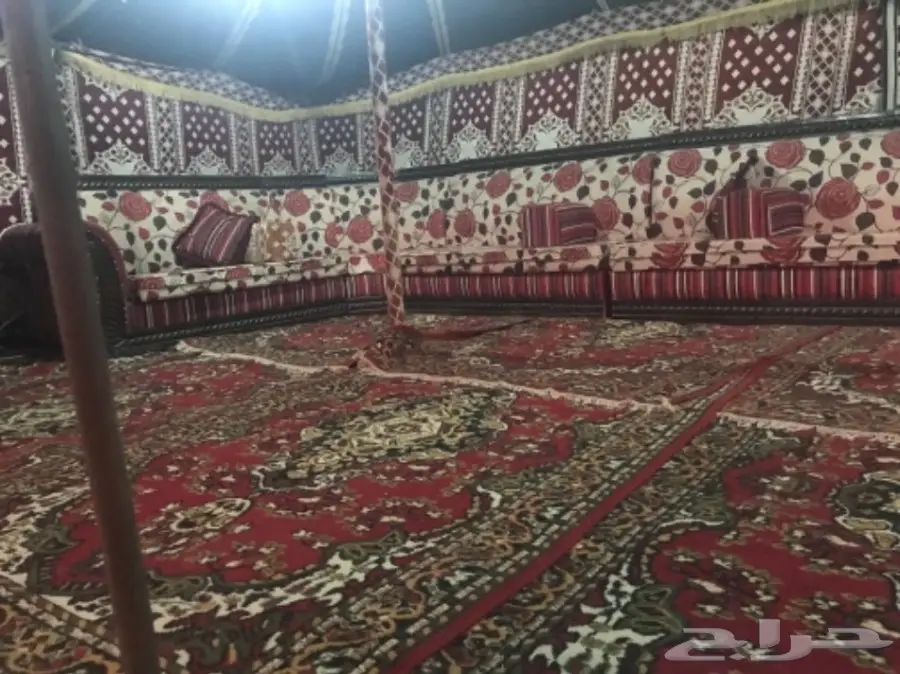 مخيم في الثمامه قبل التفتيش  (image 6)