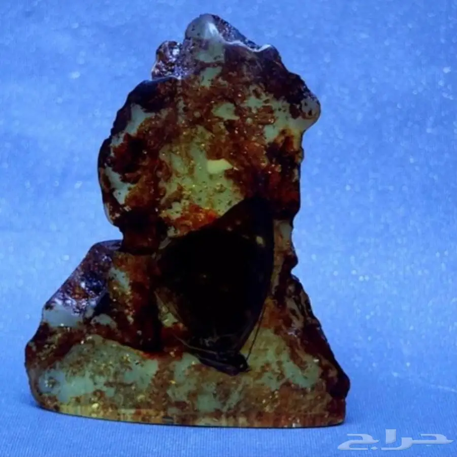 كهرمان طبيعي بداخله فراشه محنطه  (image 1)