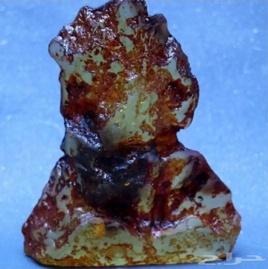 كهرمان طبيعي بداخله فراشه محنطه  (image 3)