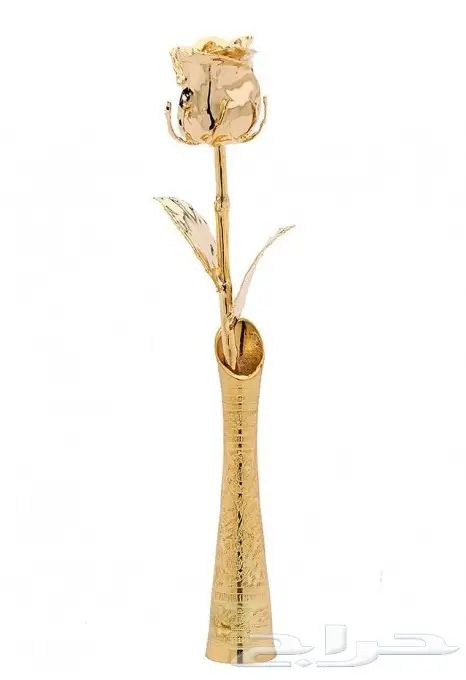 عروض 2018الوردة الذهبيه طلاء ماء ذهب 24k (image 46)