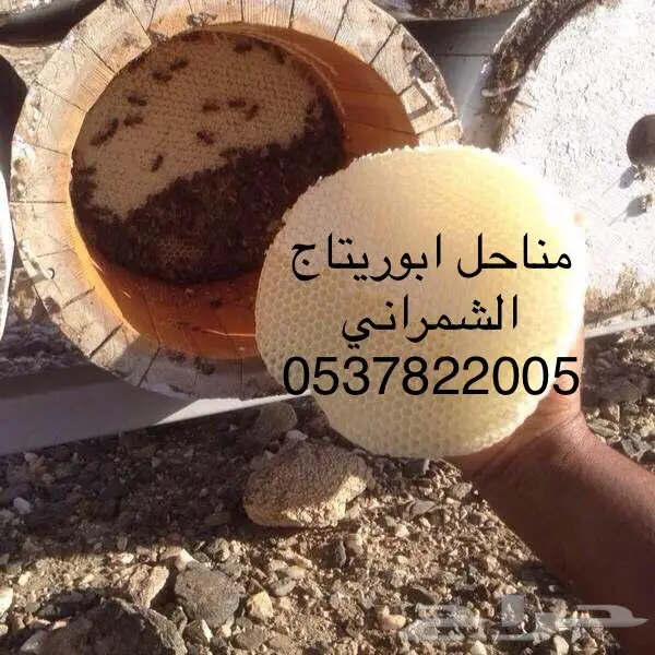 عسل سدر عسل سمر عسل طلح  (image 3)