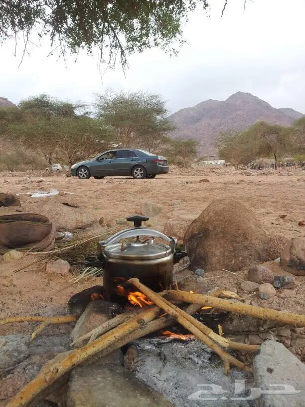 لبيع هوندى كورد 2004 تشليح