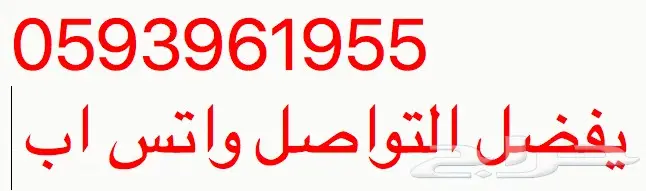 عرض 24 ساعة مميز Stc أرقام مميزة ومكررة (image 3)