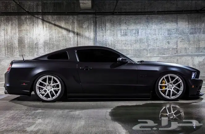 بخاخ التجليد بلاستي ديب (image 3)