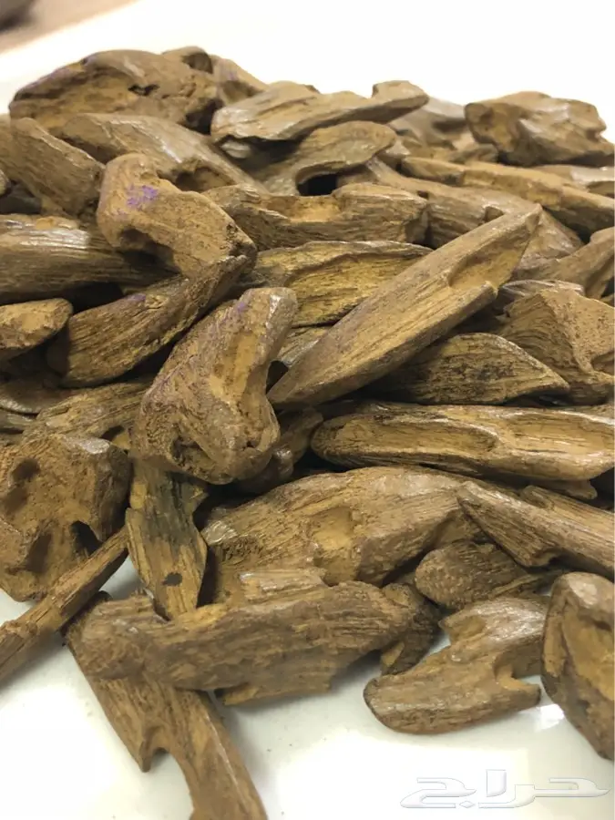طيب عود بخور فاخر (image 3)