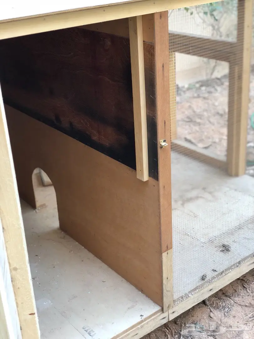 بيت للدجاج او القطط (image 2)