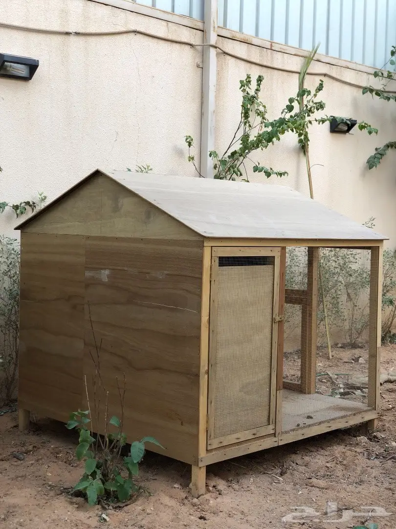 بيت للدجاج او القطط (image 3)
