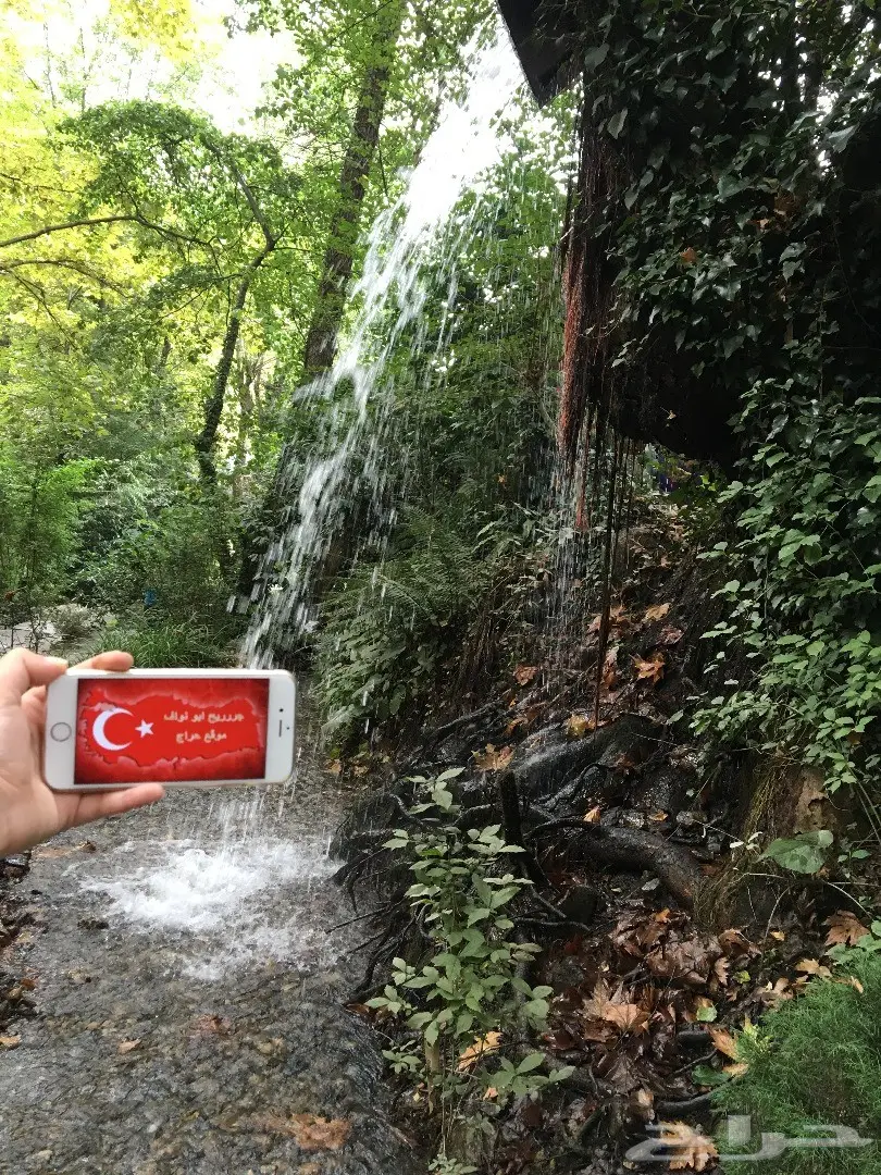 عرض خاص للعرسان سافر الى تركيا او ماليزيا  (image 13)