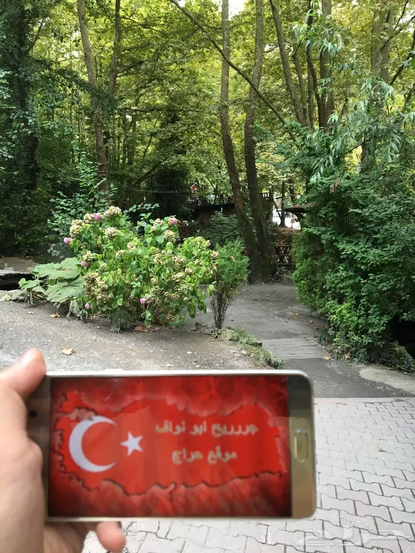 عرض خاص للعرسان سافر الى تركيا او ماليزيا  (image 15)