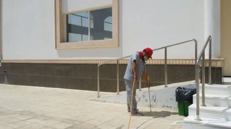 رش مبيد رش مبيدات بدون رائحة عماله فلبينيه (image 6)