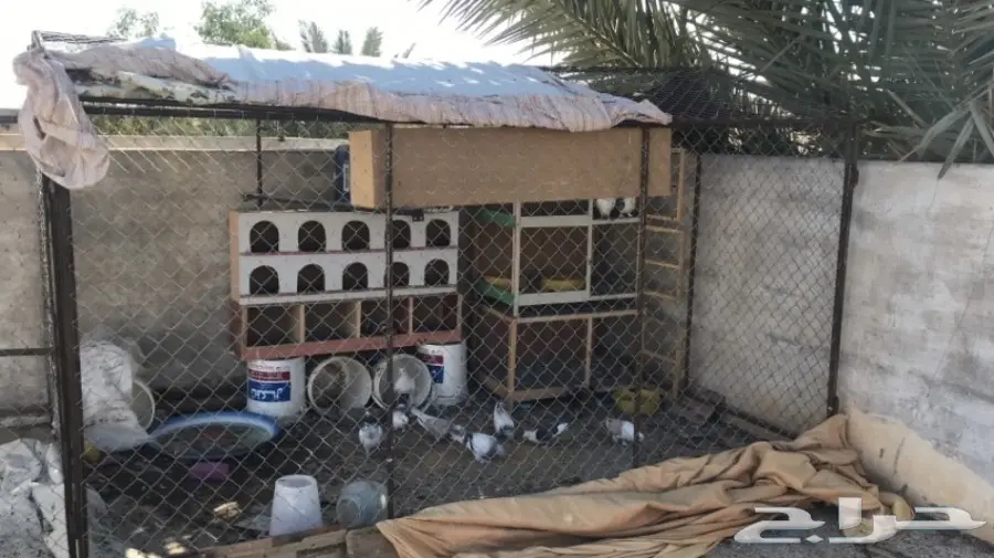 شبك حمام ومخاكر وأبراج  (image 6)