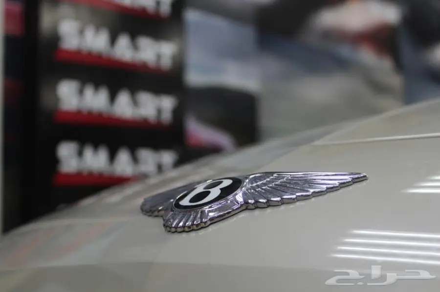 شركة سمارت للعناية بالسيارات