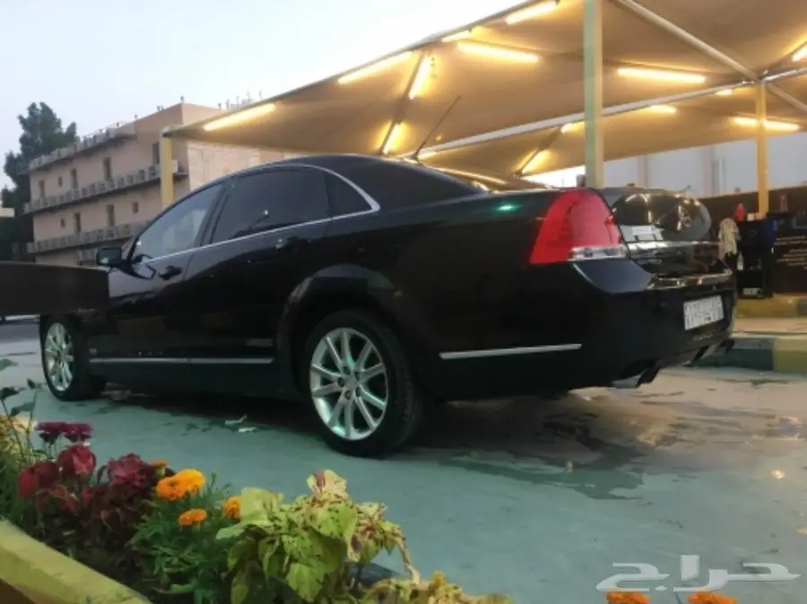 صدام كابروس SS