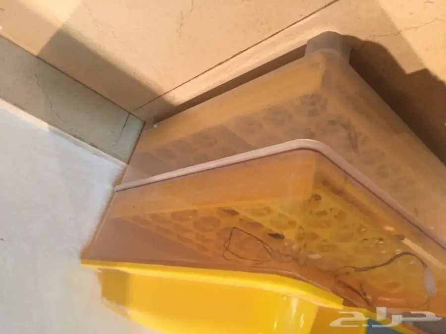 فقاسه سعه 96 بيضه  (image 3)