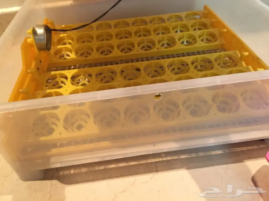فقاسه سعه 96 بيضه  (image 5)