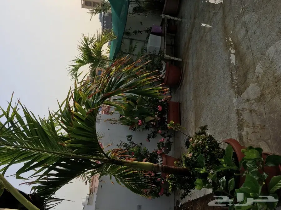 بيت شعر vpc.  للبيع الحاله ممتازه  (image 9)