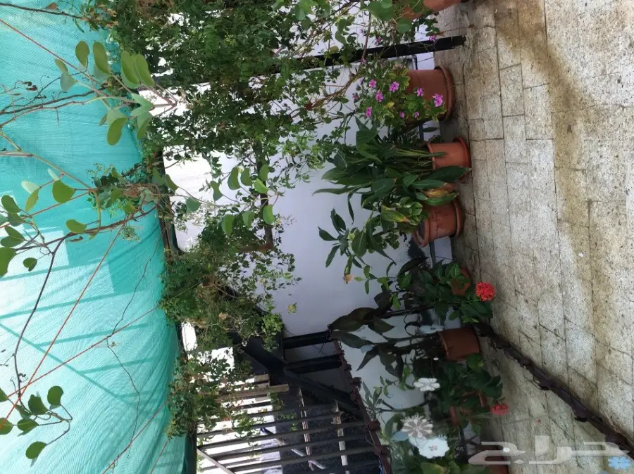 بيت شعر vpc.  للبيع الحاله ممتازه  (image 14)