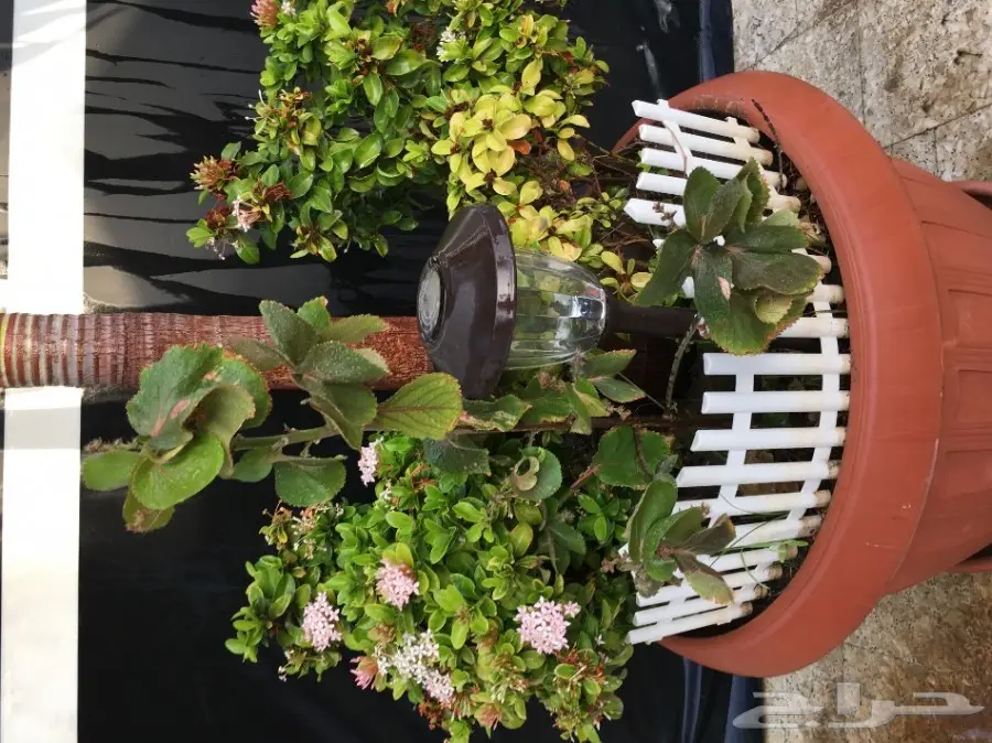 بيت شعر vpc.  للبيع الحاله ممتازه  (image 17)