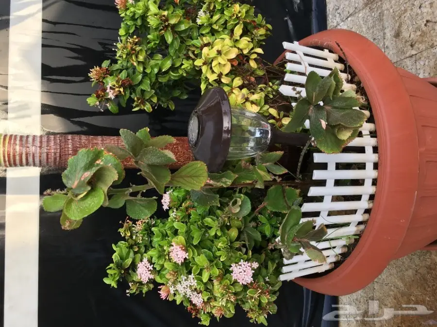 بيت شعر vpc.  للبيع الحاله ممتازه  (image 18)