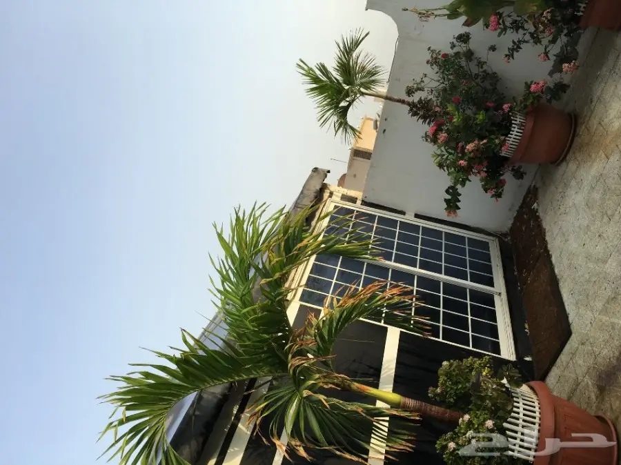 بيت شعر vpc.  للبيع الحاله ممتازه  (image 26)