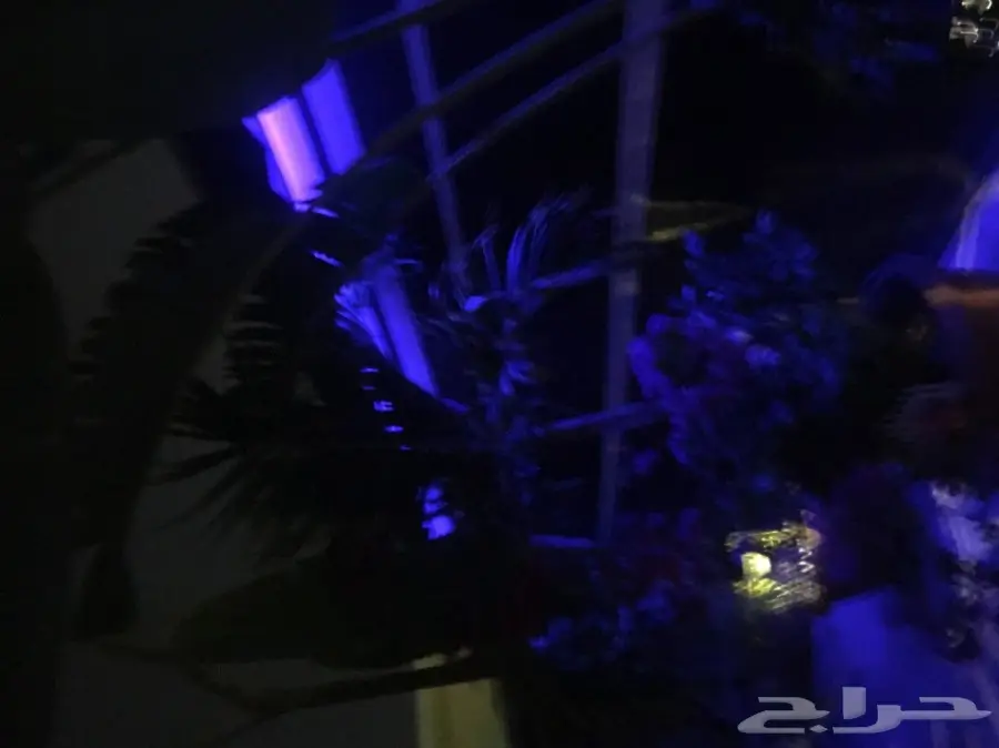 بيت شعر vpc.  للبيع الحاله ممتازه  (image 34)