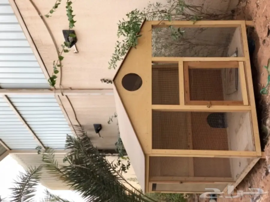 بيت للدجاج او القطط (image 1)