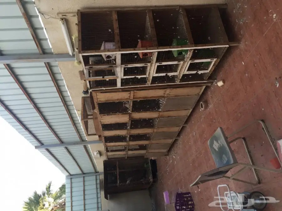 محاكر حمام (image 1)