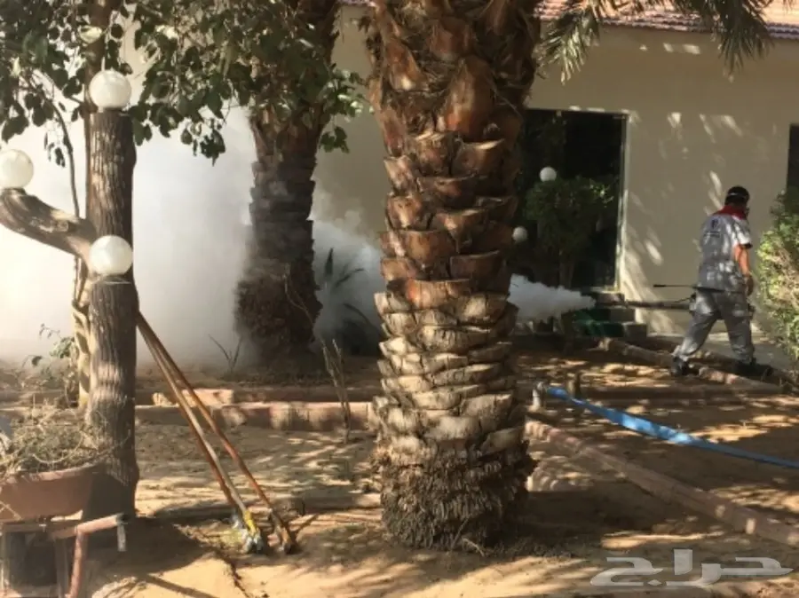 تخلص من الآفات مع ضمان! (image 27)