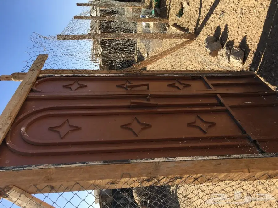 غنم مطافيل ومعزا مطافيل - فرصة لا تُفوّت! (image 51)