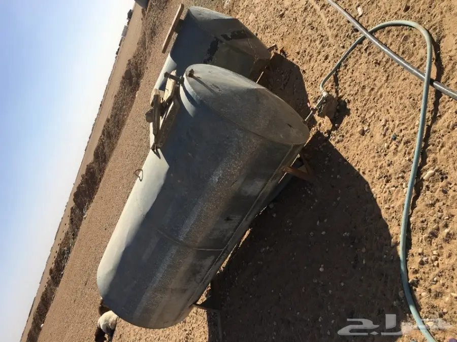 غنم مطافيل ومعزا مطافيل - فرصة لا تُفوّت! (image 54)