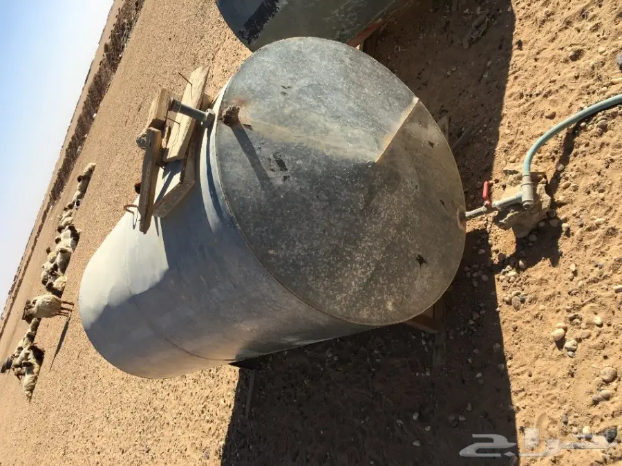 غنم مطافيل ومعزا مطافيل - فرصة لا تُفوّت! (image 55)