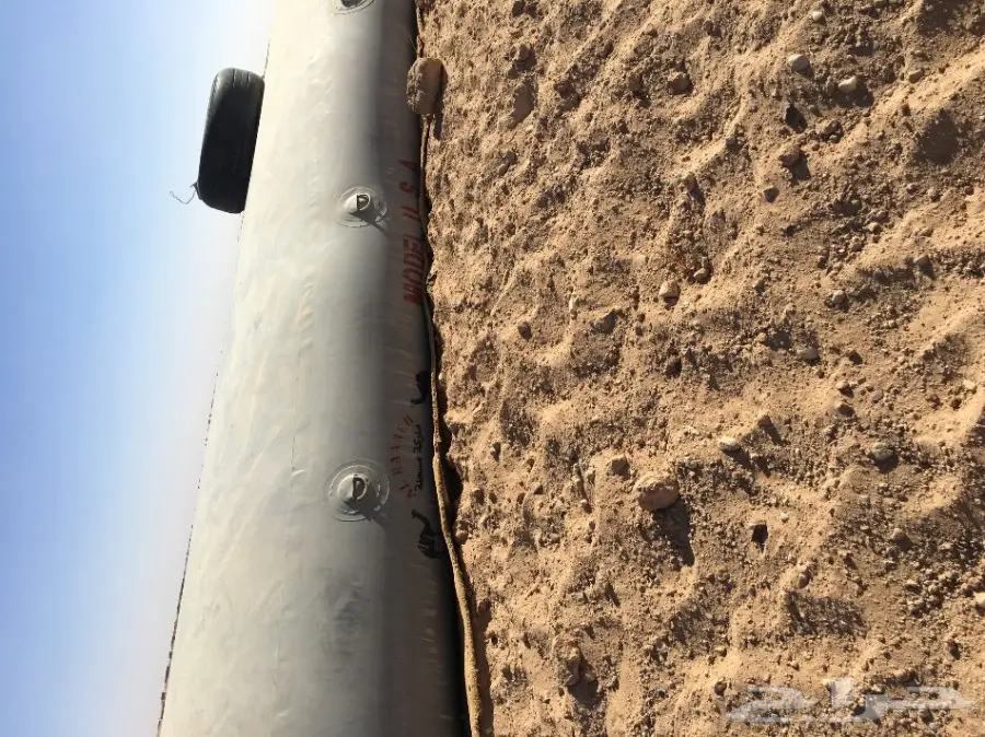 غنم مطافيل ومعزا مطافيل - فرصة لا تُفوّت! (image 62)