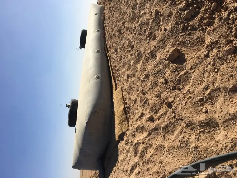 غنم مطافيل ومعزا مطافيل - فرصة لا تُفوّت! (image 63)