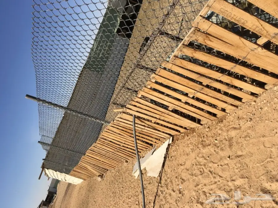 غنم مطافيل ومعزا مطافيل - فرصة لا تُفوّت! (image 64)