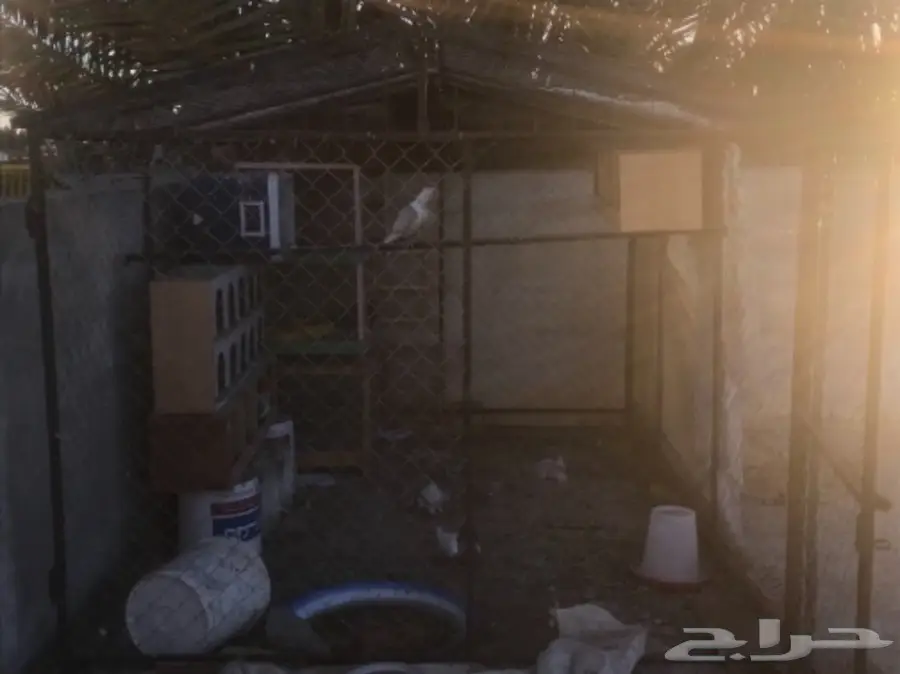 شبك حمام ومخاكر وأبراج 