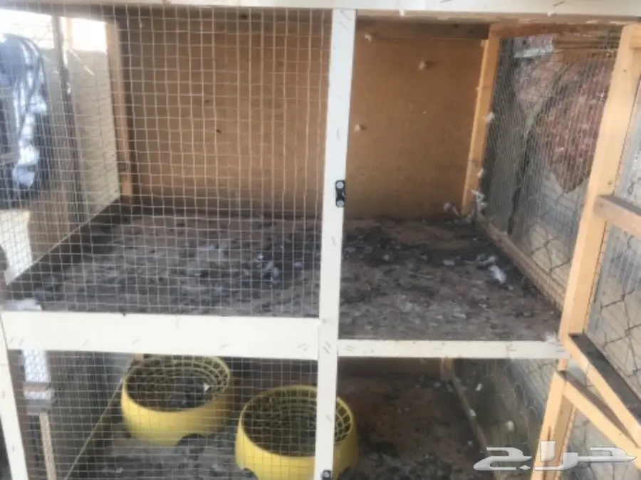 شبك حمام ومخاكر وأبراج  (image 2)