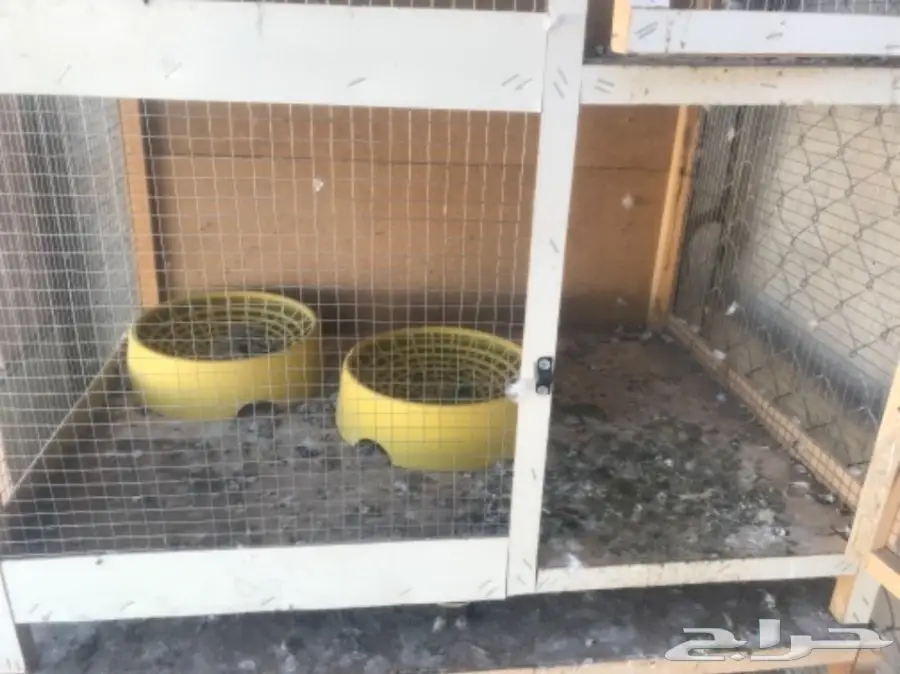 شبك حمام ومخاكر وأبراج  (image 3)