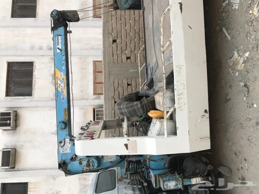 دينا سيزوونش