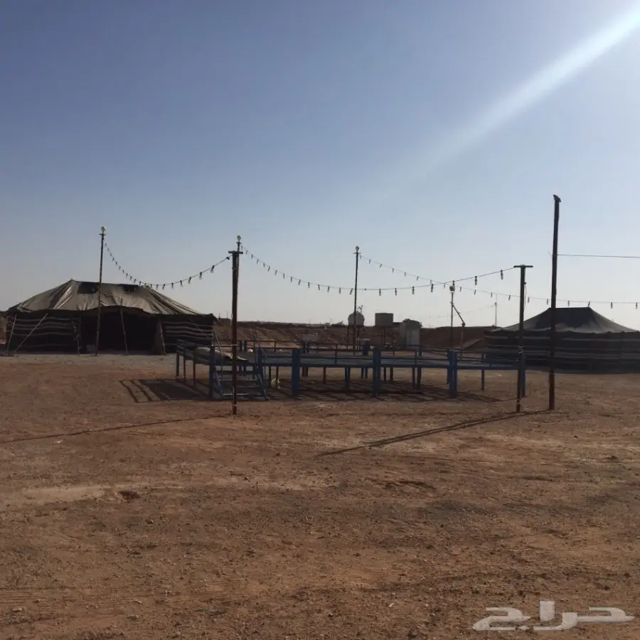 مخيم للبيع كامل موقع ممتاز بالعاذرية (image 2)