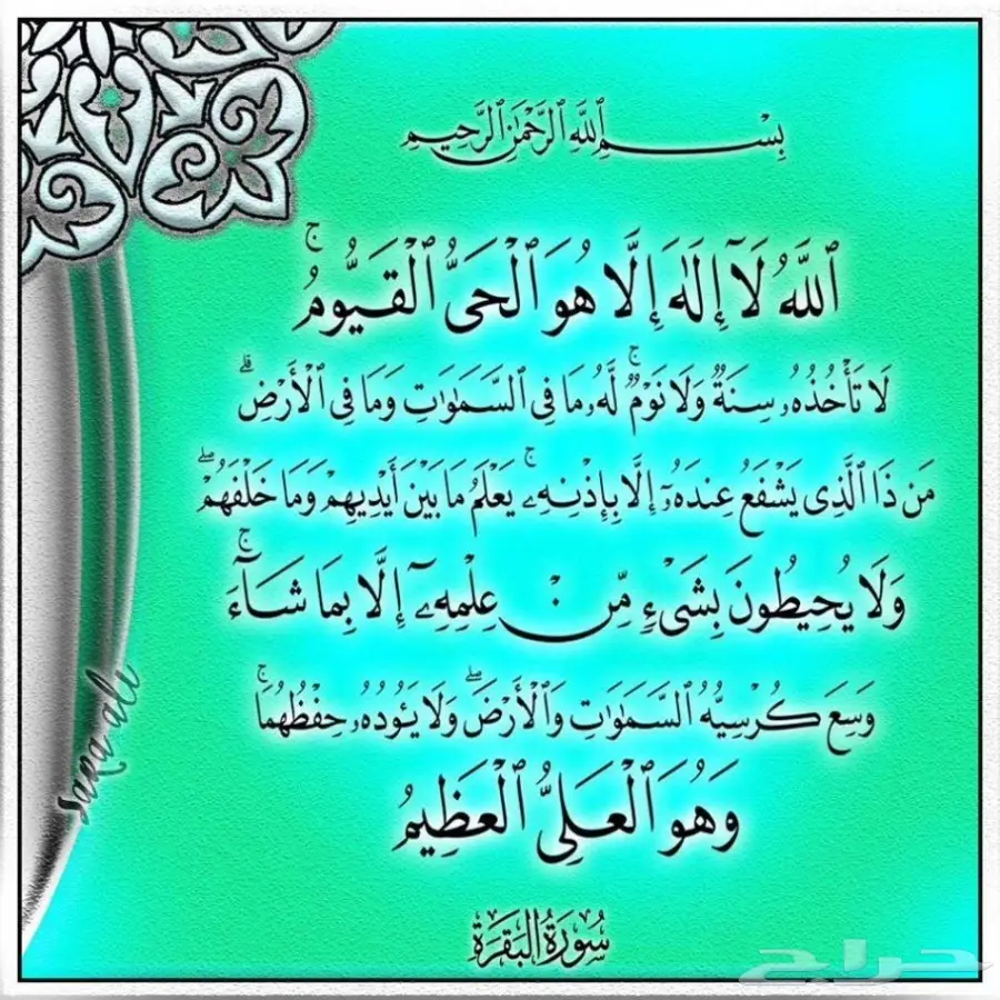 رائد الاستبدال للاجهزة الكهربائية مكيف غسالة  (image 33)