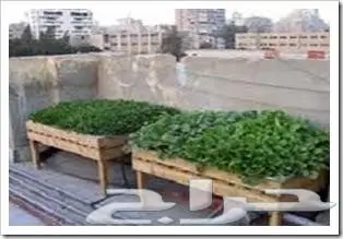 نجار سعودي عمل اثاث منزلي