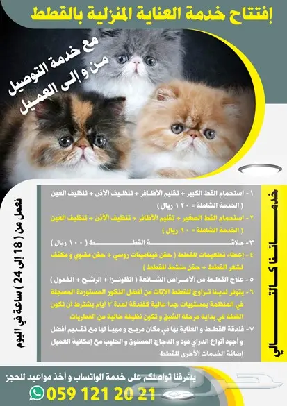 تصميم إعلانات احترافي عن بعد - بسرعة وكفاءة! (image 31)