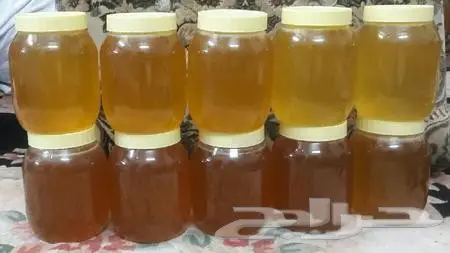 اجود وافضل انواع العسل سدر شوكه مجرى (image 8)