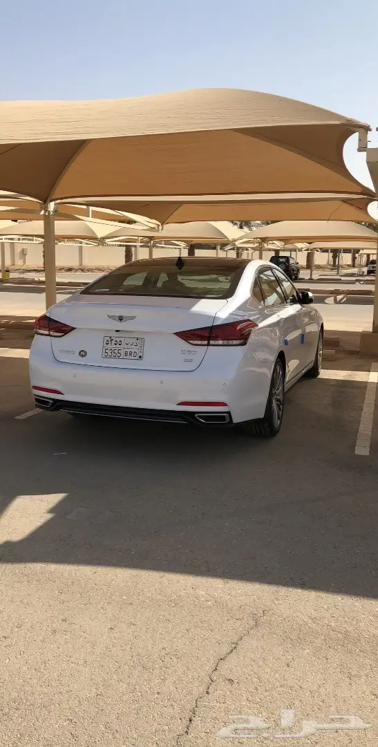 جنسس 2018 وارد الوعلان اخت الوكاله (image 4)