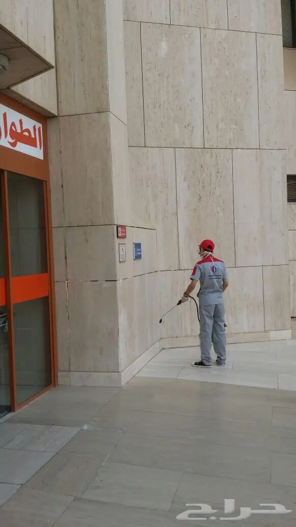 مكافحة حشرات رش مبيدات مع الضمان (image 1)