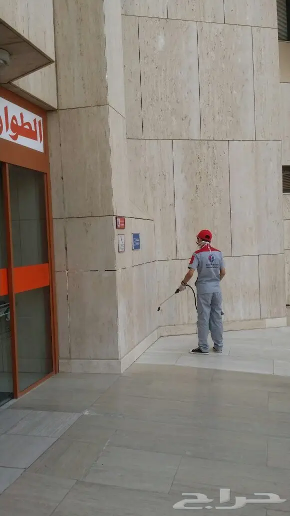 تخلص من الصراصير الآن! (image 2)