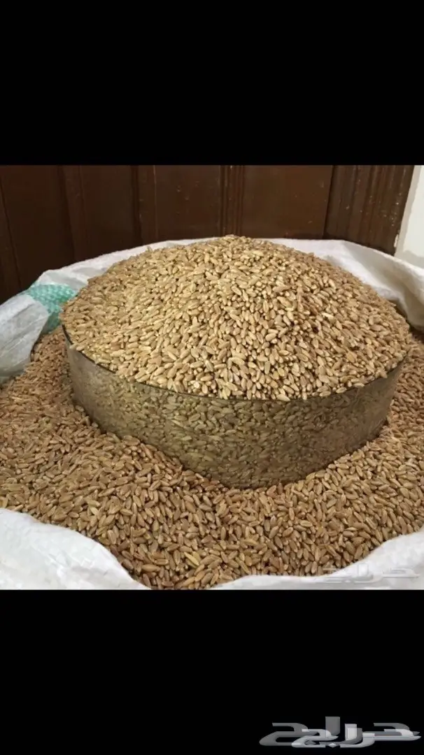 للبيع معيه بر بدون كيماي